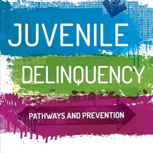 Test Bank (Download Online) For Juvenile Delinquency Pathways And Prevention 1st Edition Mallett